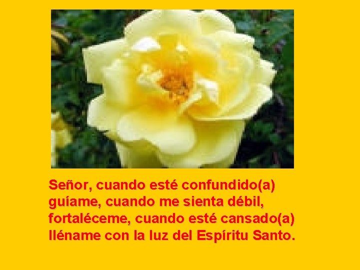 Señor, cuando esté confundido(a) guíame, cuando me sienta débil, fortaléceme, cuando esté cansado(a) lléname Señor, cuando esté confundido(a) guíame, cuando me sienta débil, fortaléceme, cuando esté cansado(a) lléname