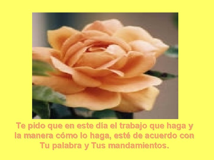 Te pido que en este día el trabajo que haga y la manera cómo Te pido que en este día el trabajo que haga y la manera cómo