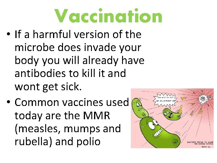 Vaccination • If a harmful version of the microbe does invade your body you