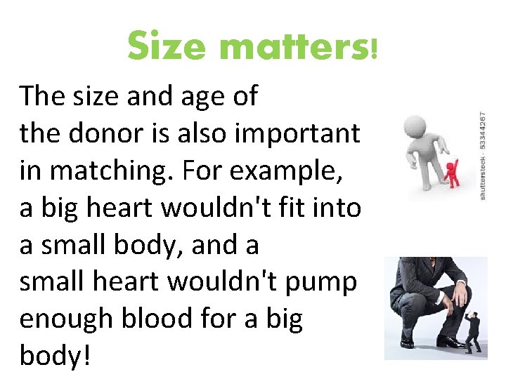 Size matters! The size and age of the donor is also important in matching.