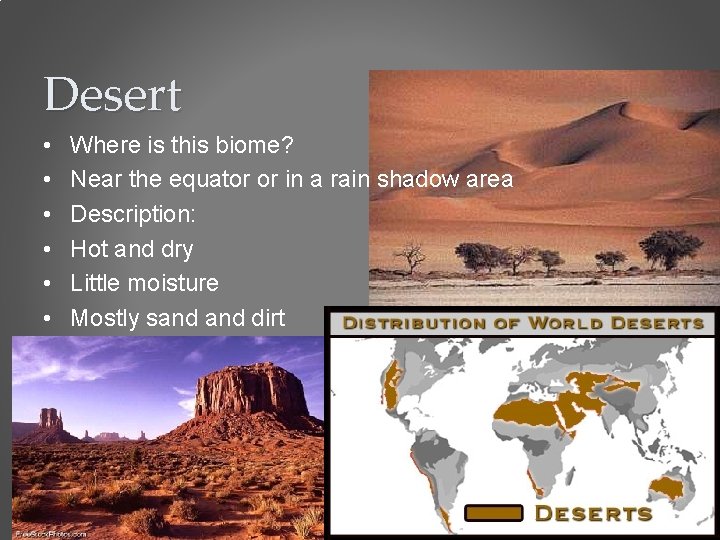 Desert • • • Where is this biome? Near the equator or in a