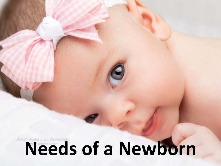 Needs of a Newborn 