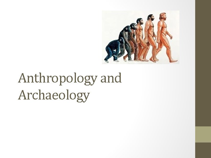 Anthropology and Archaeology 