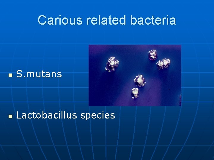Carious related bacteria n S. mutans n Lactobacillus species 