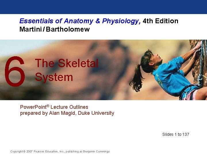 Essentials of Anatomy & Physiology, 4 th Edition Martini / Bartholomew 6 The Skeletal