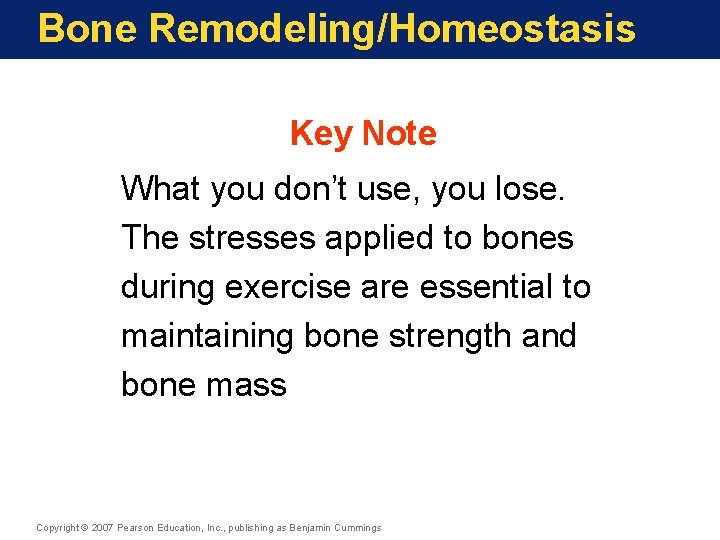 Bone Remodeling/Homeostasis Key Note What you don’t use, you lose. The stresses applied to