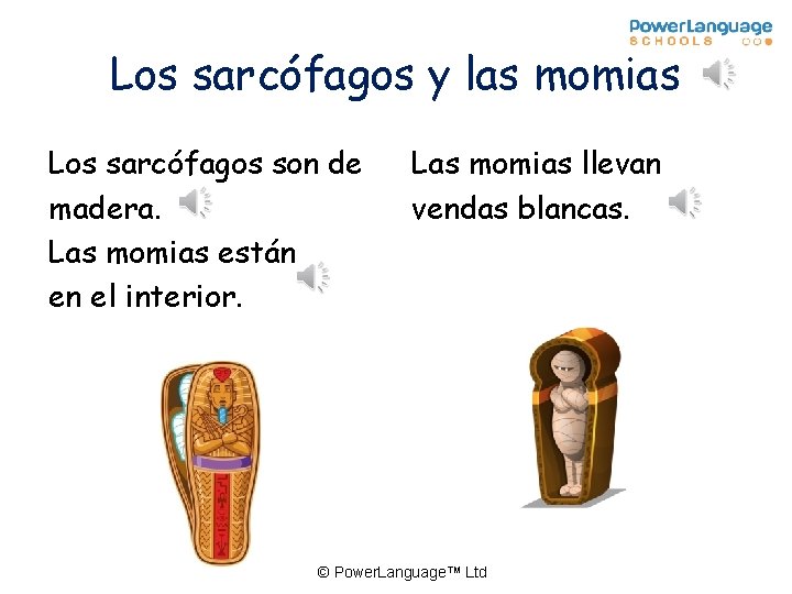 Los sarcófagos y las momias Los sarcófagos son de madera. Las momias están en