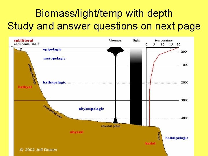 Biomass/light/temp with depth Study and answer questions on next page 