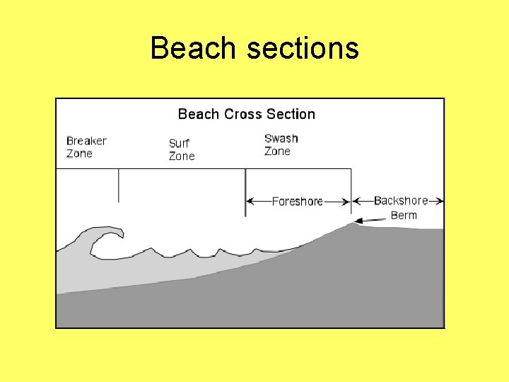 Beach sections 