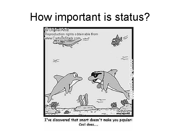 How important is status? 