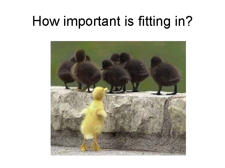 How important is fitting in? 