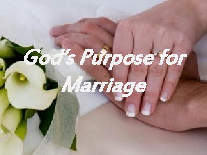 God’s Purpose for Marriage 