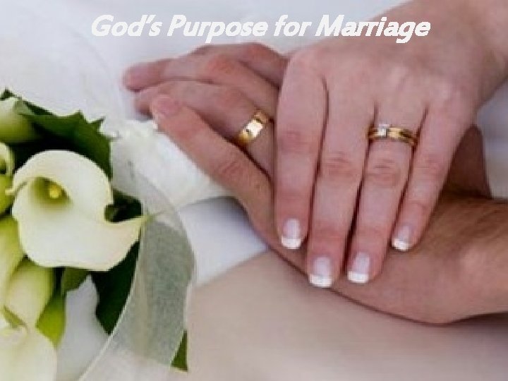 God’s Purpose for Marriage 