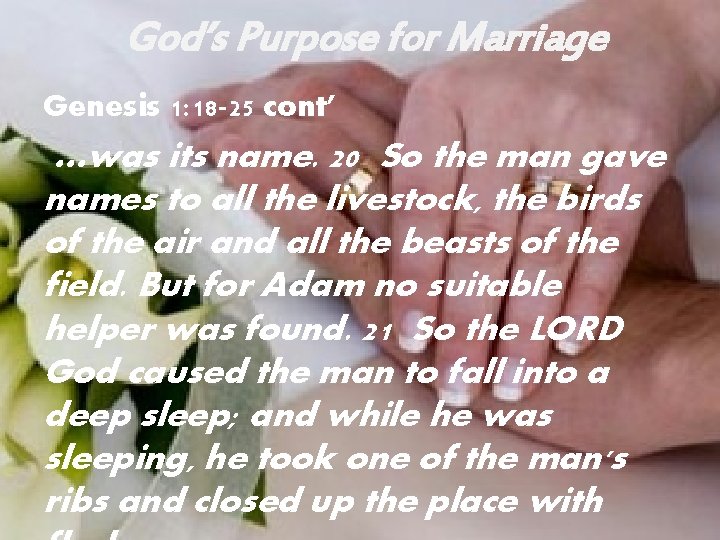 God’s Purpose for Marriage Genesis 1: 18 -25 cont’ …was its name. 20 So