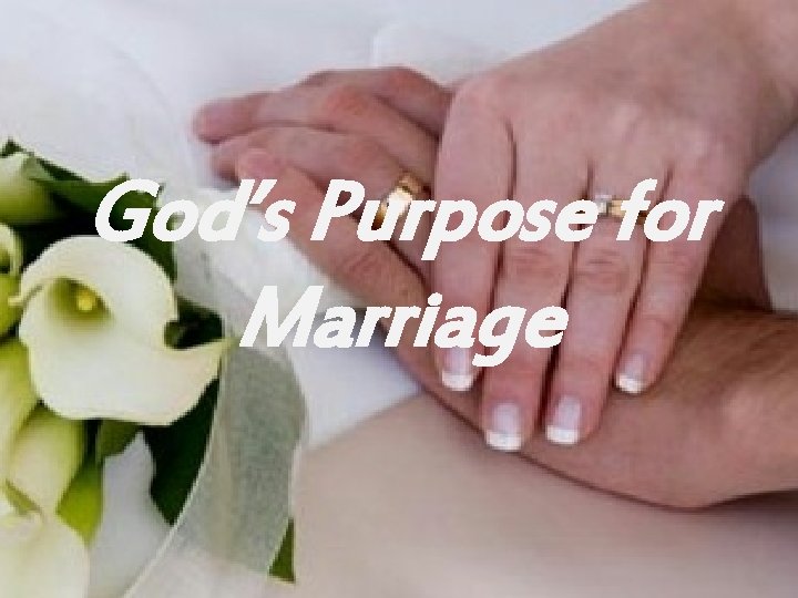 God’s Purpose for Marriage 