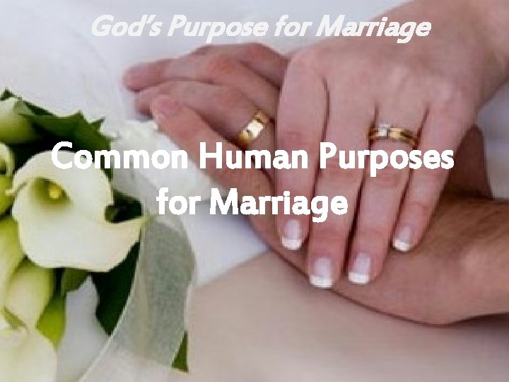 God’s Purpose for Marriage Common Human Purposes for Marriage 