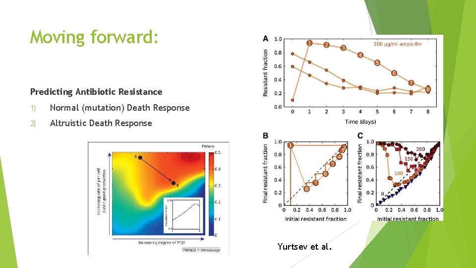 Moving forward: Predicting Antibiotic Resistance 1) Normal (mutation) Death Response 2) Altruistic Death Response