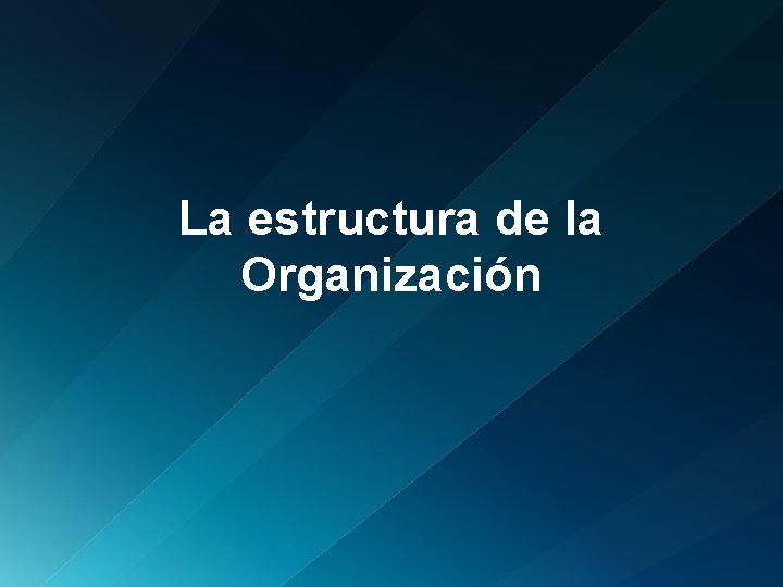 La estructura de la Organización 