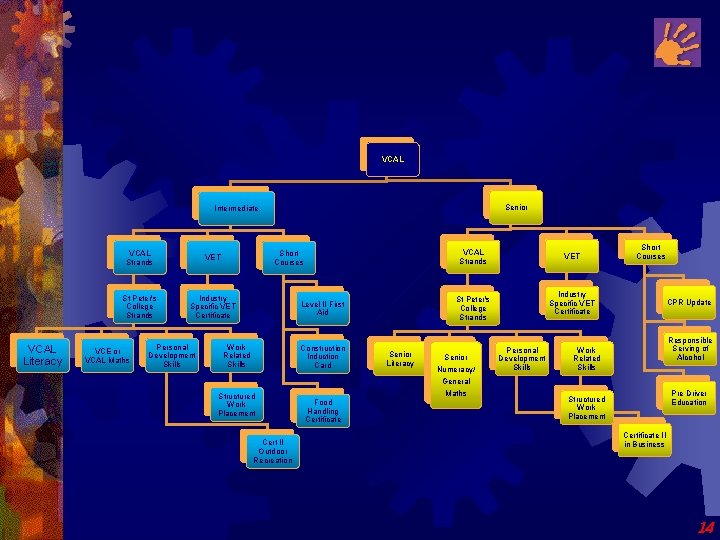 VCAL Senior Intermediate VCAL Literacy VCAL Strands VET St Peter's College Strands Industry Specific