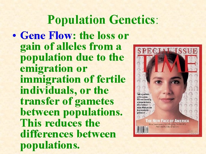 Population Genetics: • Gene Flow: the loss or gain of alleles from a population Population Genetics: • Gene Flow: the loss or gain of alleles from a population