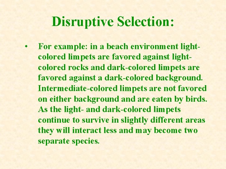 Disruptive Selection: • For example: in a beach environment lightcolored limpets are favored against Disruptive Selection: • For example: in a beach environment lightcolored limpets are favored against