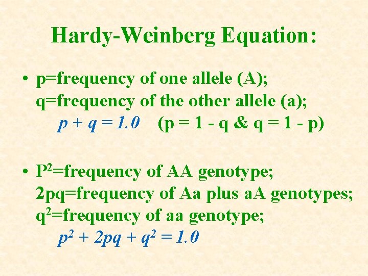 Hardy-Weinberg Equation: • p=frequency of one allele (A); q=frequency of the other allele (a); Hardy-Weinberg Equation: • p=frequency of one allele (A); q=frequency of the other allele (a);