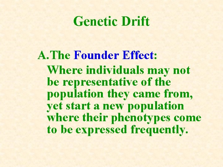 Genetic Drift A. The Founder Effect: Where individuals may not be representative of the Genetic Drift A. The Founder Effect: Where individuals may not be representative of the