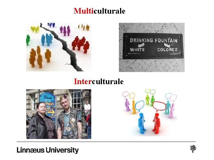Multiculturale Interculturale 