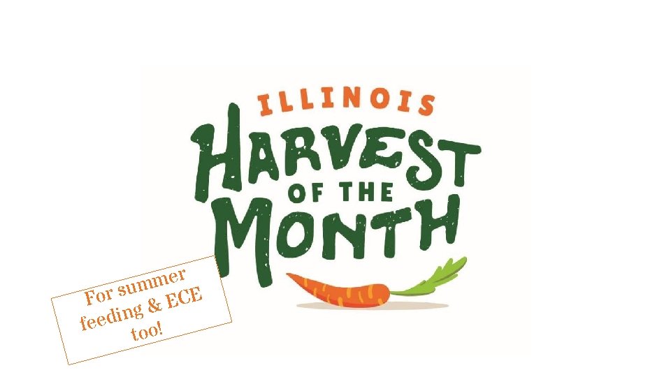 r e m m u s r E C Fo E & g n