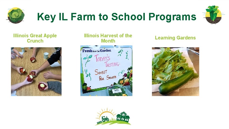 Key IL Farm to School Programs Illinois Great Apple Crunch Illinois Harvest of the