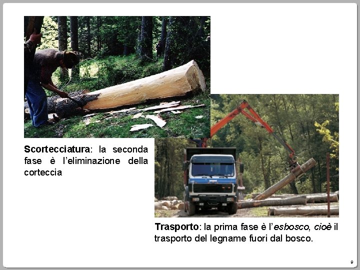 Scortecciatura: la seconda fase è l’eliminazione della corteccia Trasporto: la prima fase è l’esbosco,