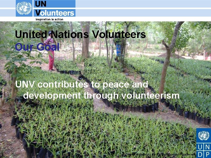 United Nations Volunteers Our Goal UNV contributes to peace and development through volunteerism UNV