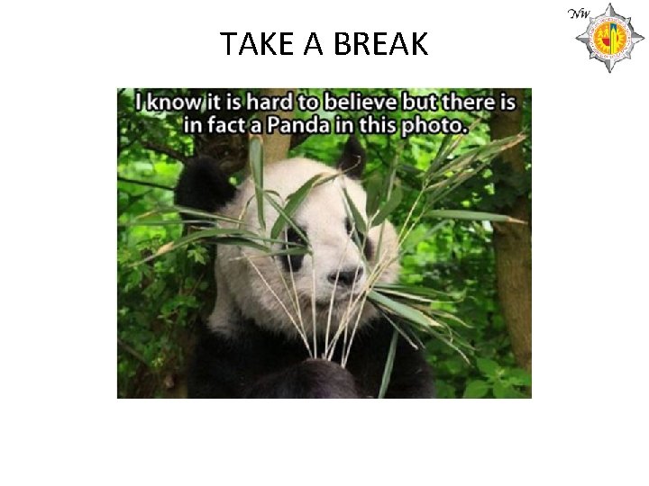 TAKE A BREAK 