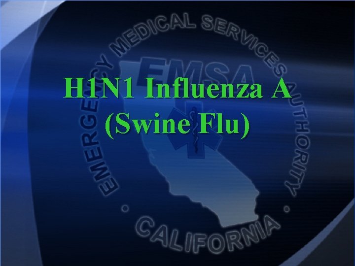 H 1 N 1 Influenza A (Swine Flu) 