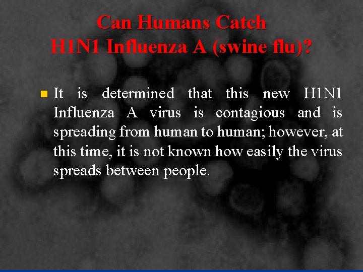 Can Humans Catch H 1 N 1 Influenza A (swine flu)? n It is