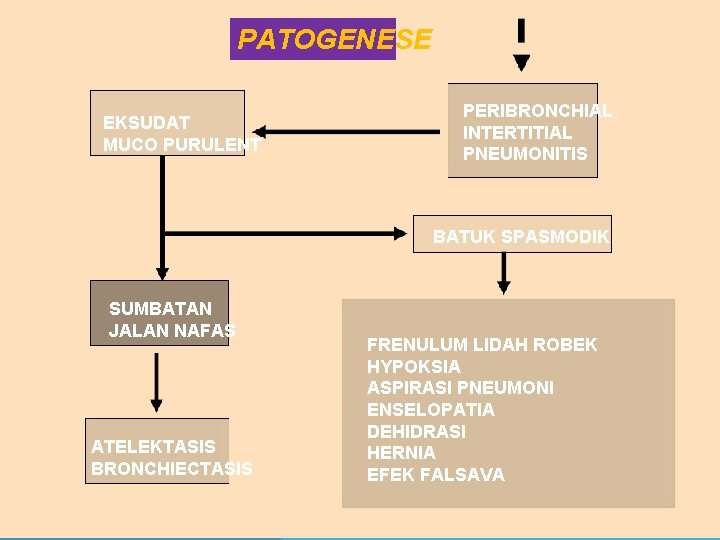 PATOGENESE EKSUDAT MUCO PURULENT PERIBRONCHIAL INTERTITIAL PNEUMONITIS BATUK SPASMODIK SUMBATAN JALAN NAFAS ATELEKTASIS BRONCHIECTASIS