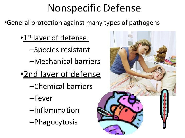Nonspecific Defense • General protection against many types of pathogens • 1 st layer