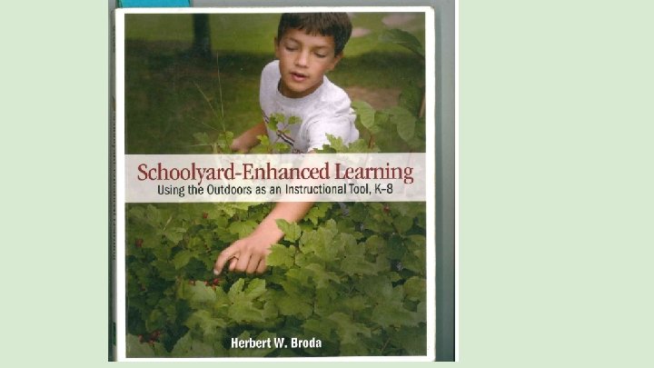 Schoolyard Enhanced Learning (book cover image) 