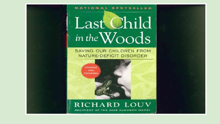 Last Child in the Woods (book cover image) 