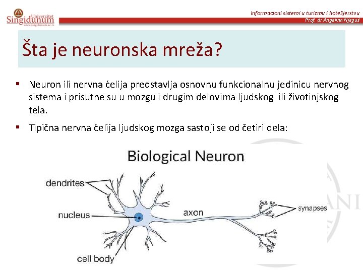 Informacioni sistemi u turizmu i hotelijerstvu Prof. dr Angelina Njeguš Šta je neuronska mreža?