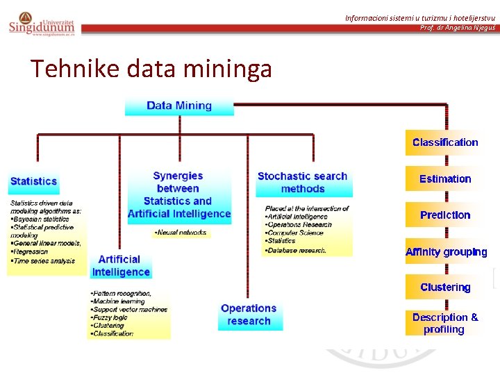 Informacioni sistemi u turizmu i hotelijerstvu Prof. dr Angelina Njeguš Tehnike data mininga 