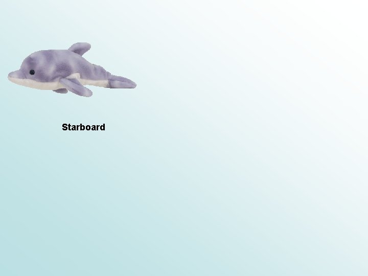 Starboard 