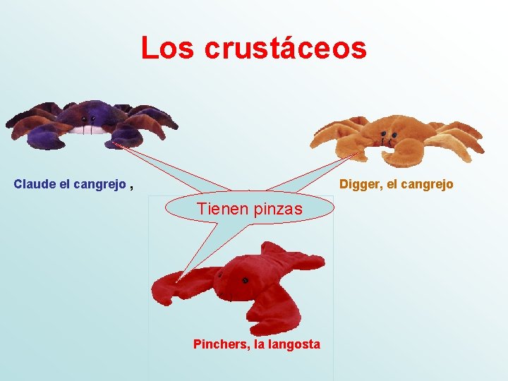 Los crustáceos Claude el cangrejo , Digger, el cangrejo Tienen pinzas Pinchers, la langosta