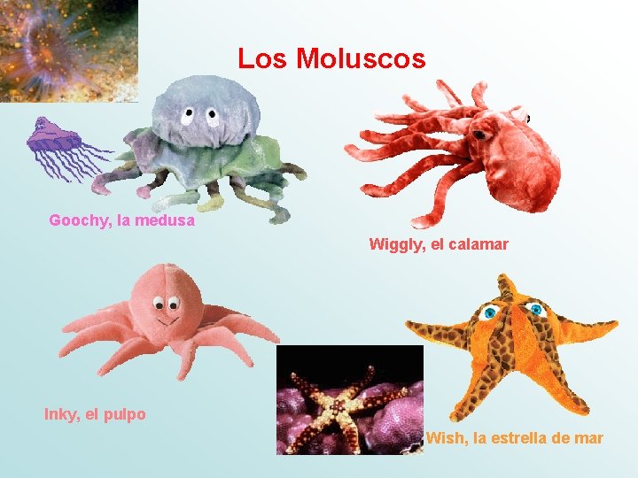 Los Moluscos Goochy, la medusa Wiggly, el calamar Inky, el pulpo Wish, la estrella