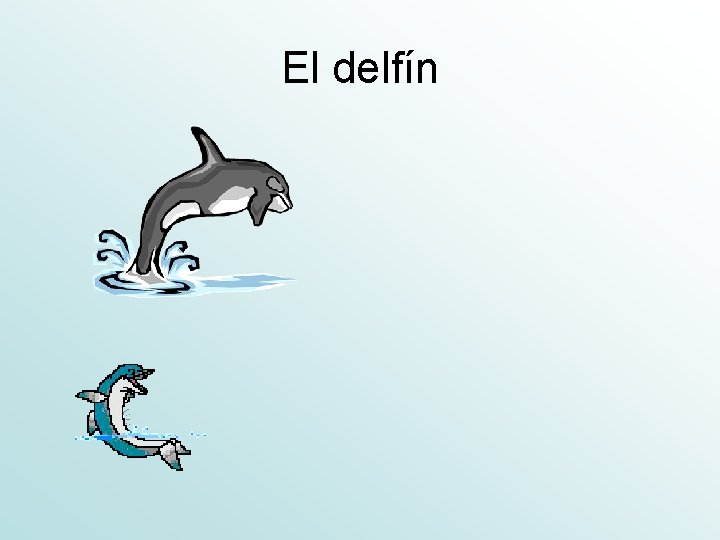 El delfín 