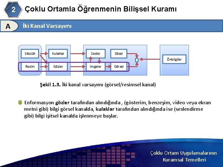 Çoklu Ortamla Öğrenmenin Bilişsel Kuramı 2 A İki Kanal Varsayımı Sözcük 2 Kulaklar Sesler