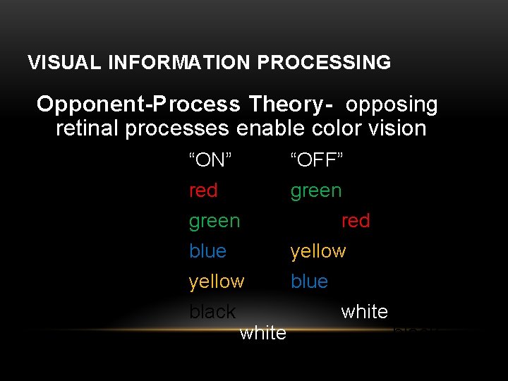 VISUAL INFORMATION PROCESSING Opponent-Process Theory- opposing retinal processes enable color vision “ON” “OFF” red