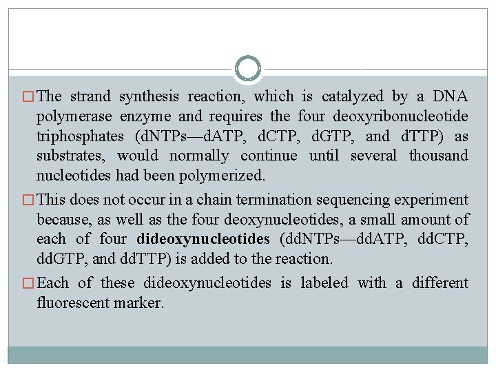 � The strand synthesis reaction, which is catalyzed by a DNA polymerase enzyme and