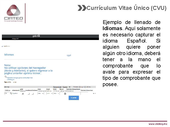 Currículum Vitae Único (CVU) Ejemplo de llenado de Idiomas. Aquí solamente es necesario capturar