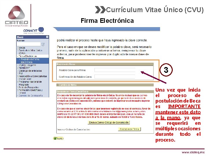 Currículum Vitae Único (CVU) Firma Electrónica 3 Una vez que inicia el proceso de